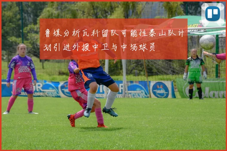 鲁媒分析瓦科留队可能性泰山队计划引进外援中卫与中场球员